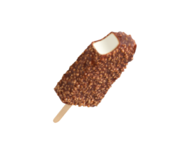 Rich's <br>Creamy Krunch Bar  