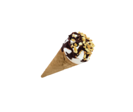 Rich's <br>Nutty Sundae Cone  