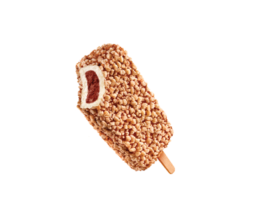 Good Humor <br>Chocolate Eclair Bar